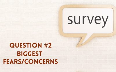 Survey Question 2: Biggest Fears